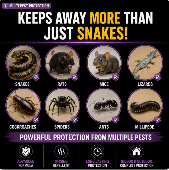 💥All-in-One Pest & Snake Protection Tablets | Instant Action Formula🔥Buy 1 Get 1 Free🔥1 Pack 24 Pcs